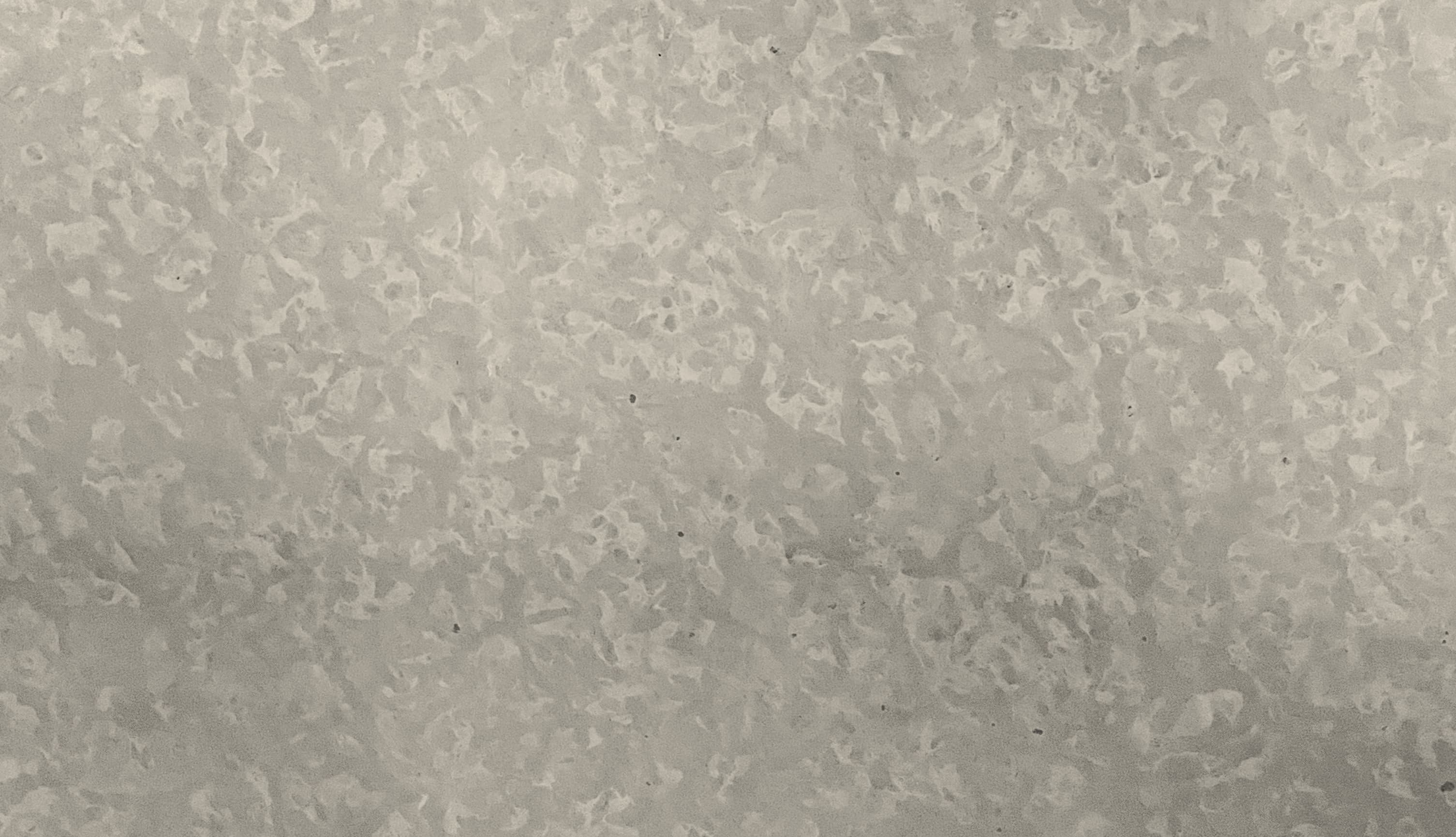 FLOWERS BEJ thumbnail 3